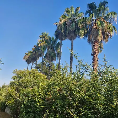 アパート Casa Giul'