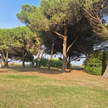 Casa Giul' Appartement Poggio Mezzana