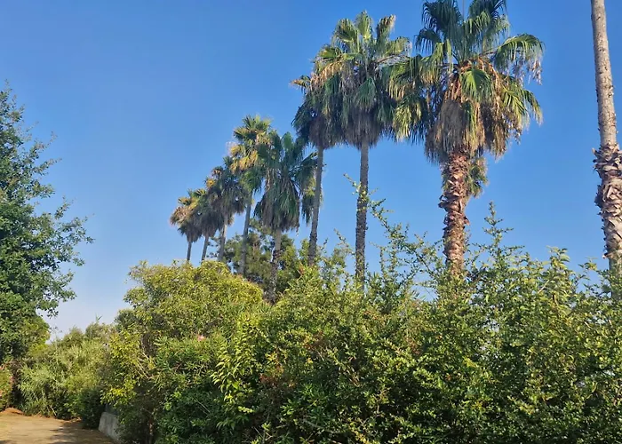 Appartamento Casa Giul'